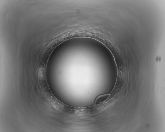 X0000092011490200709131524