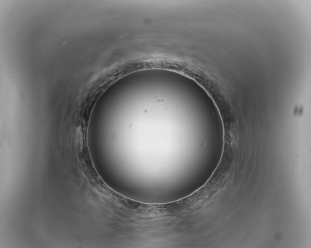 X0000092011493200709131524