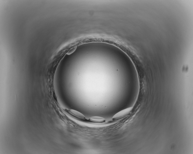 X0000092011494200709131524