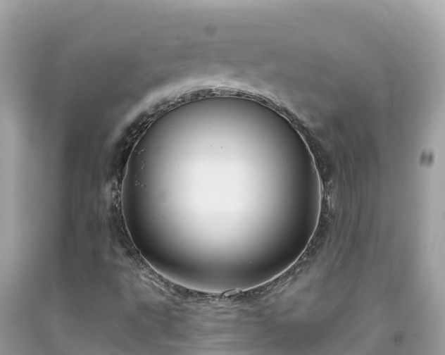 X0000092011495200709131524