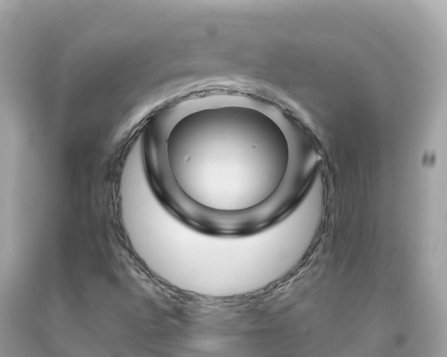 X0000092011496200709131524