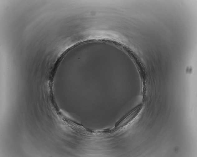 X0000092011497200709131524