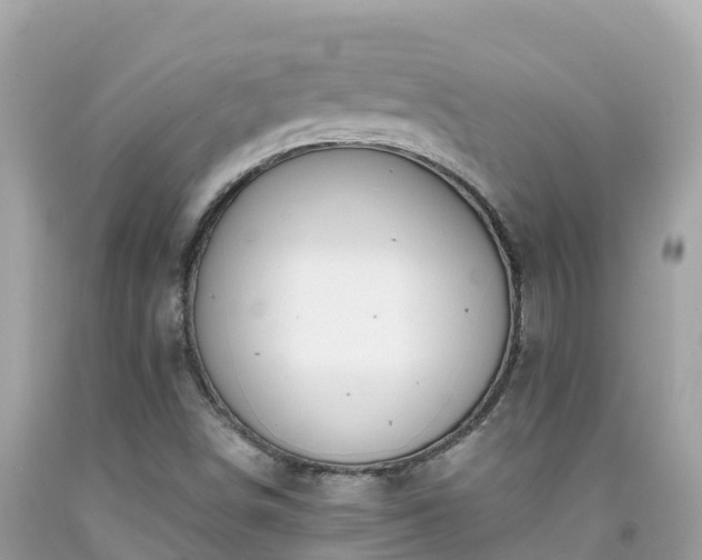 X0000092011498200709131524