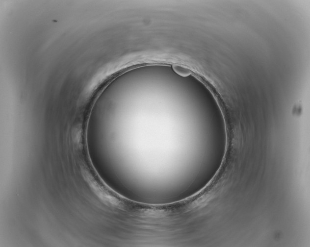 X0000092011499200709131524