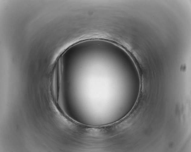 X0000092011500200709131524