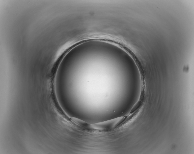 X0000092011501200709131524