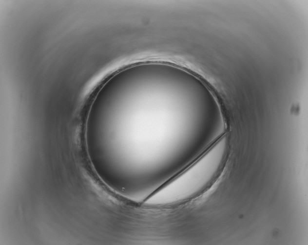X0000092011502200709131524