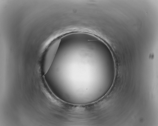 X0000092011503200709131524