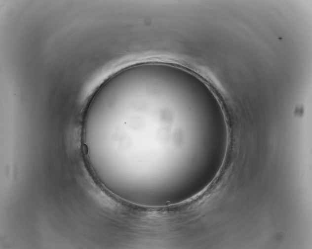 X0000092011504200709131524