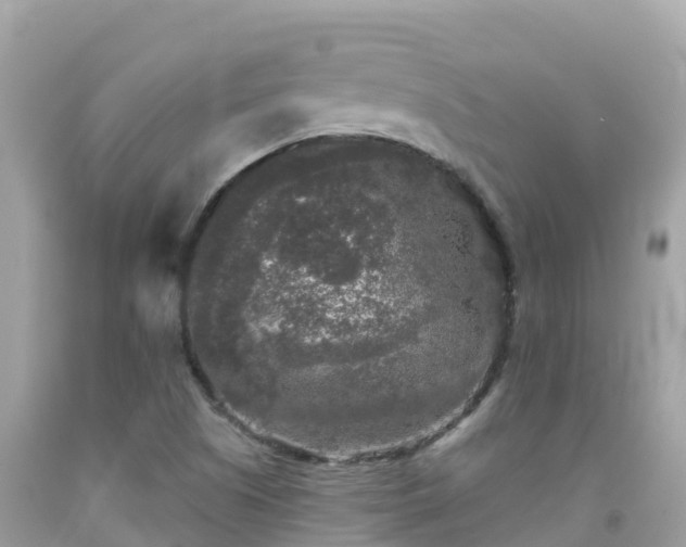 X0000092011505200709131524