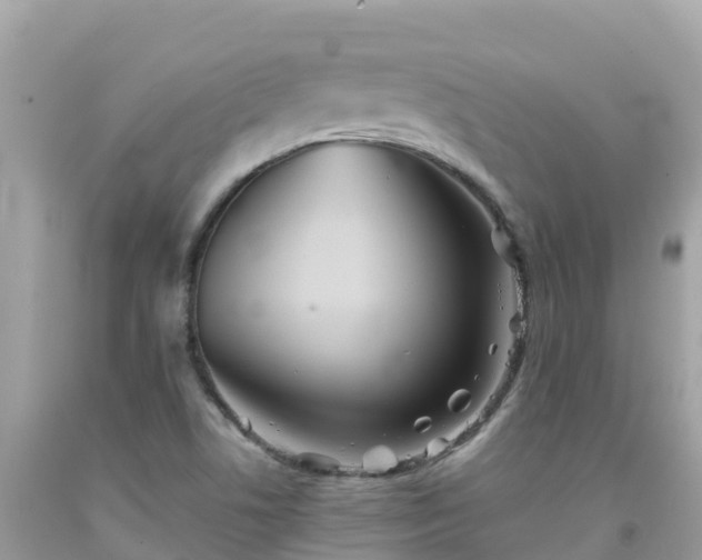 X0000092011506200709131524