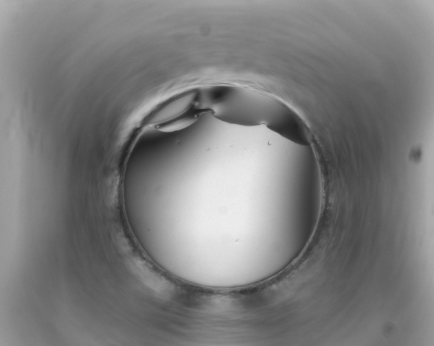 X0000092011507200709131524
