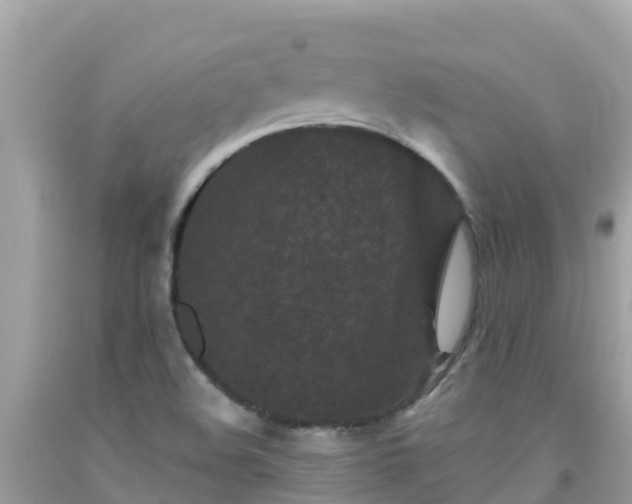 X0000092011508200709131524