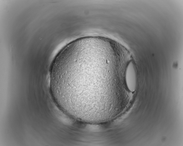 X0000092011509200709131524