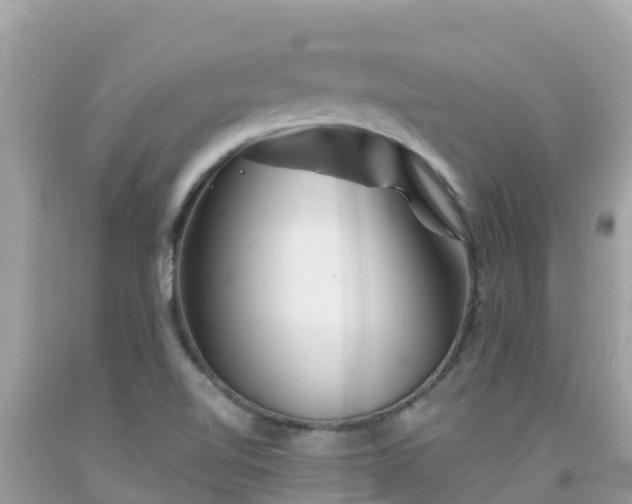 X0000092011510200709131524