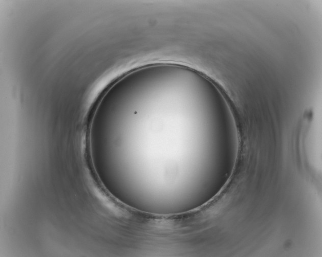 X0000092011511200709131524