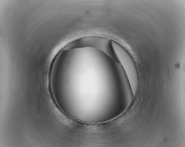 X0000092011512200709131524