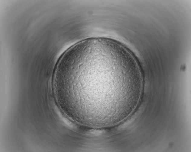 X0000092011513200709131524