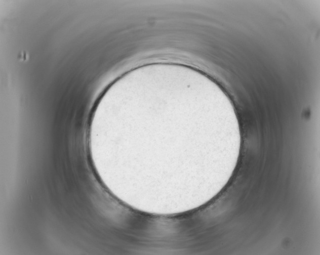 X0000092011514200709131524