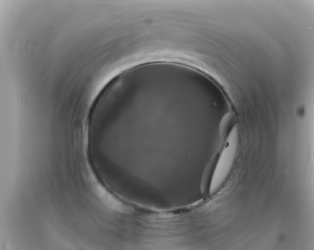 X0000092011515200709131524