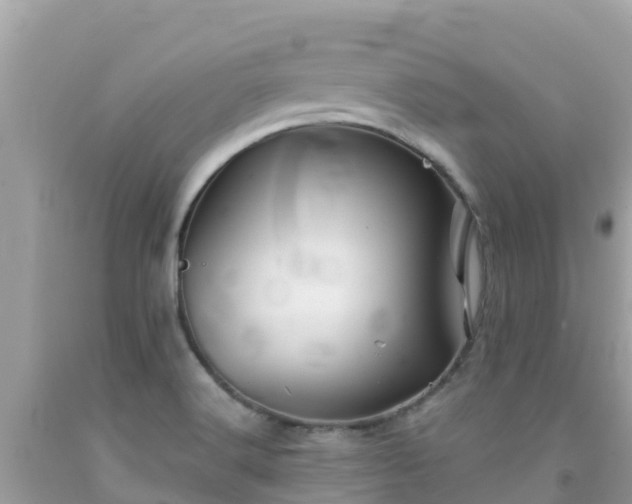 X0000092011516200709131524