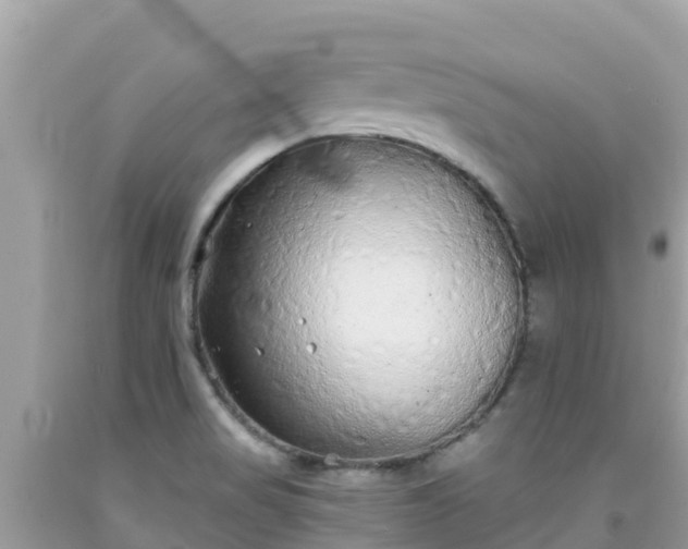 X0000092011517200709131524