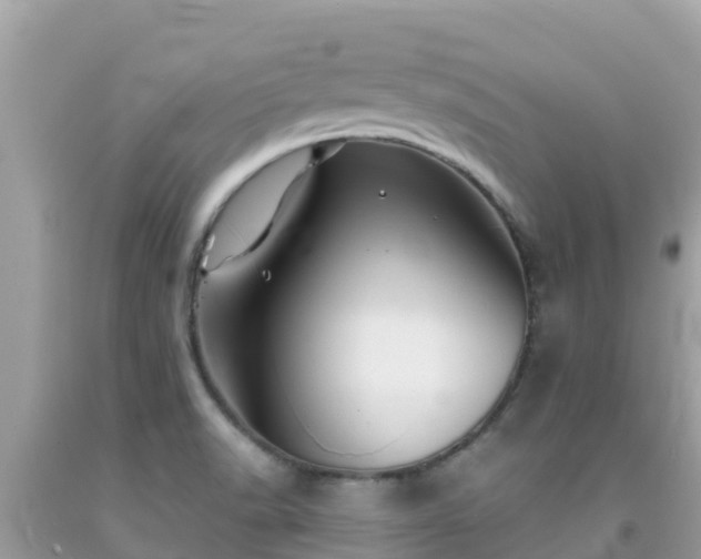 X0000092011518200709131524