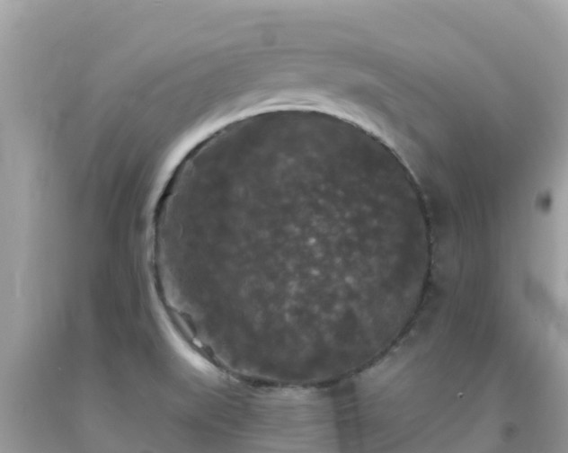 X0000092011519200709131524