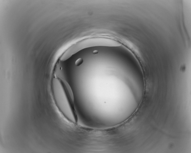 X0000092011520200709131524
