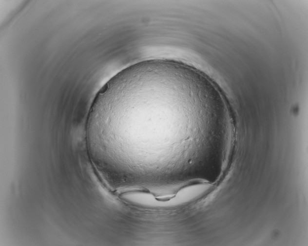 X0000092011521200709131524