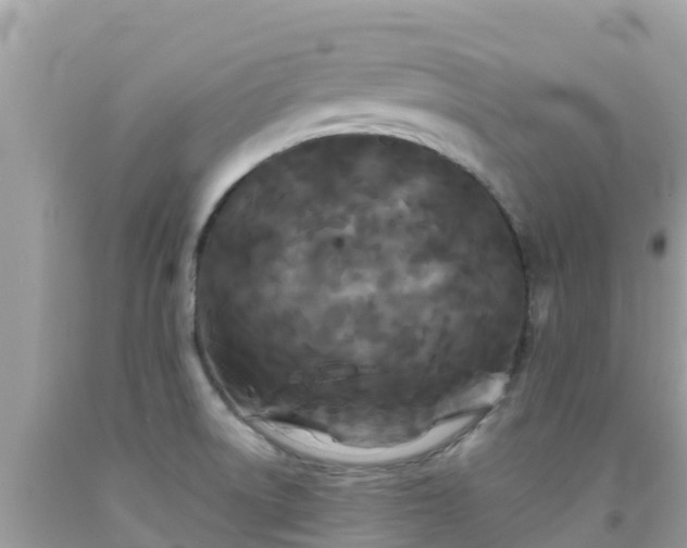 X0000092011522200709131524