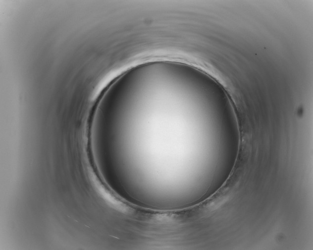 X0000092011523200709131524