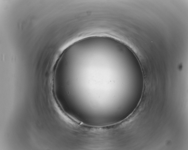 X0000092011526200709131524