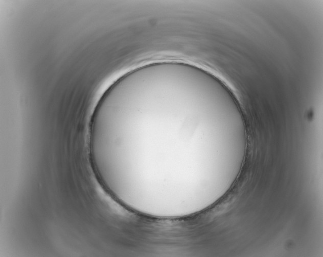 X0000092011527200709131524