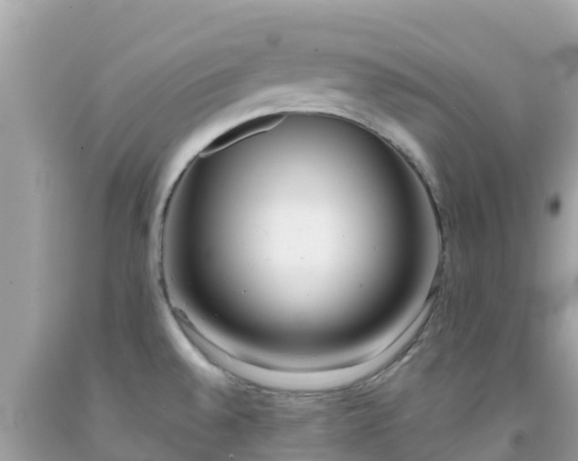 X0000092011528200709131524