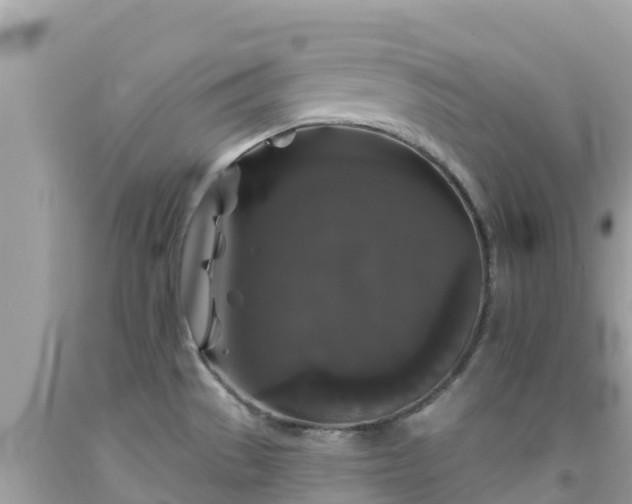 X0000092011529200709131524