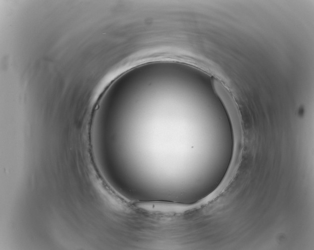 X0000092011530200709131524