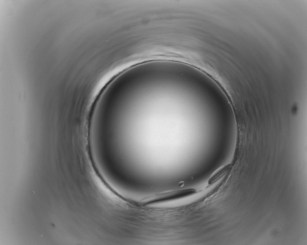 X0000092011531200709131524