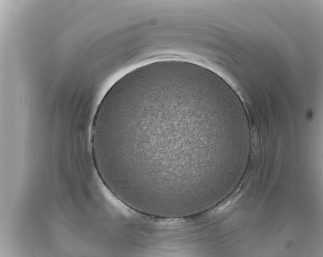 X0000092011535200709131524