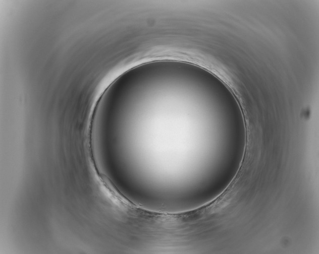 X0000092011536200709131524