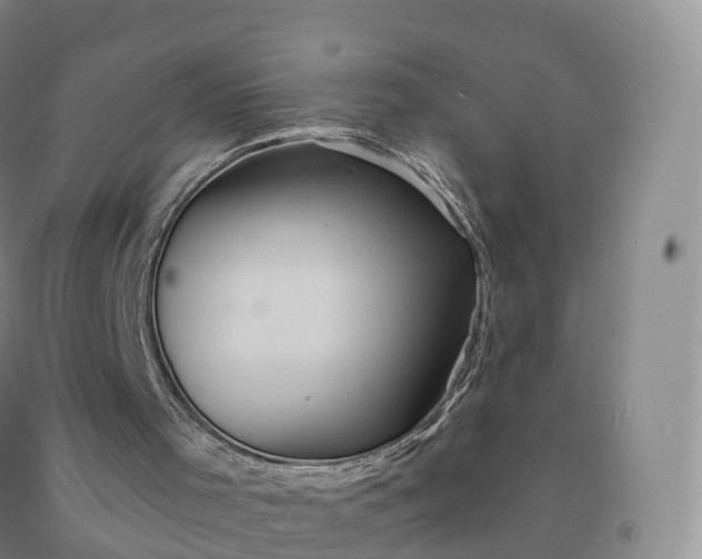 X0000092010001200709201540