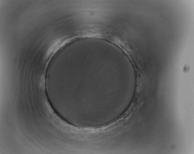 X0000092010002200709201540