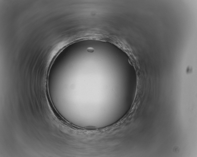 X0000092010003200709201540