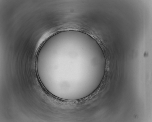 X0000092010004200709201540