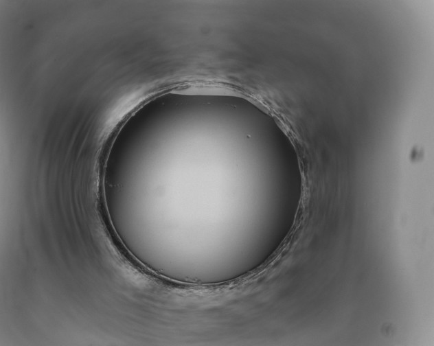 X0000092010005200709201540