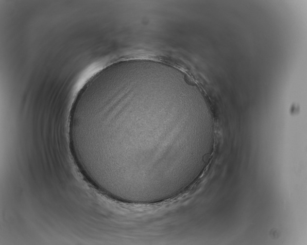 X0000092010006200709201540