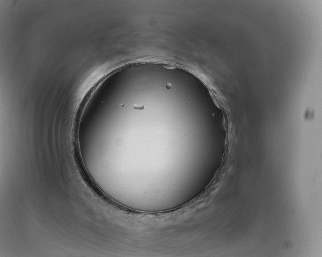 X0000092010007200709201540