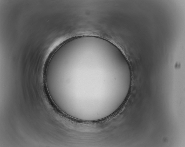 X0000092010008200709201540