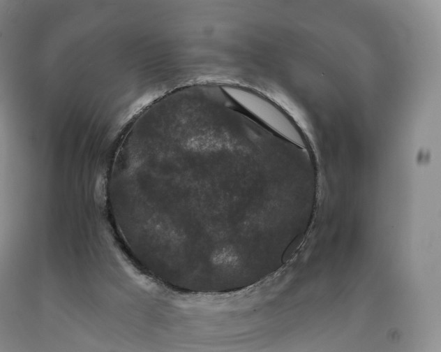 X0000092010009200709201540