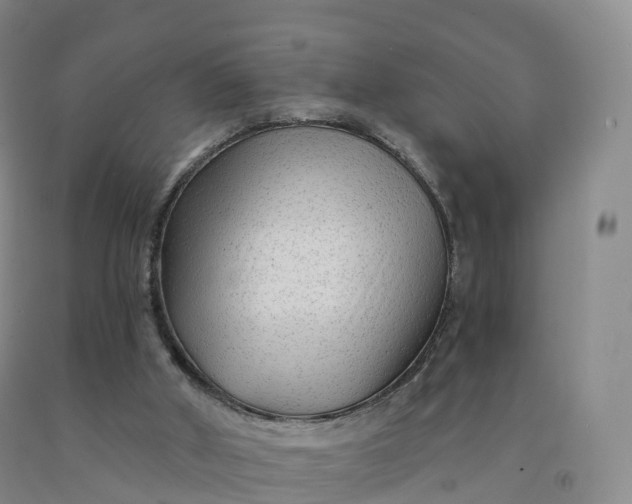 X0000092010010200709201540